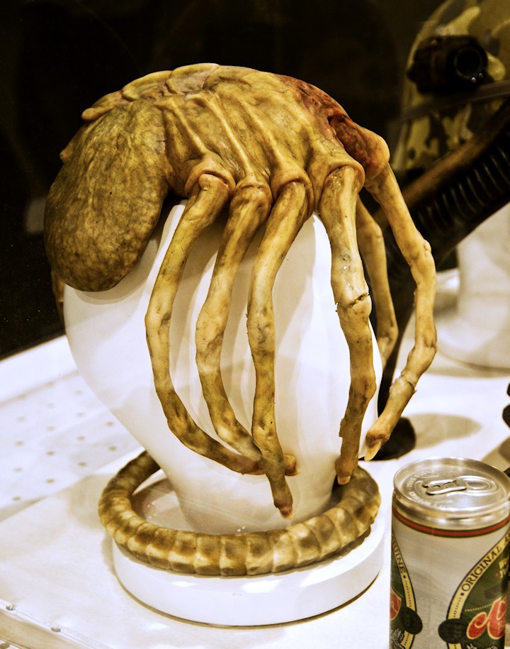 Facehugger movie prop