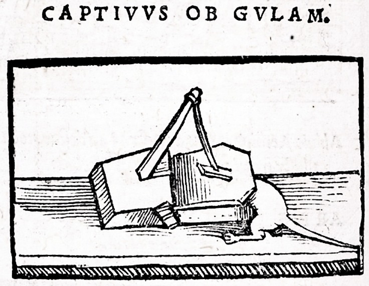 14th century mousetrap