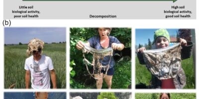 2026 Ig Nobel Prize Winners – parody of Nobel Prize Buried underpants degradation